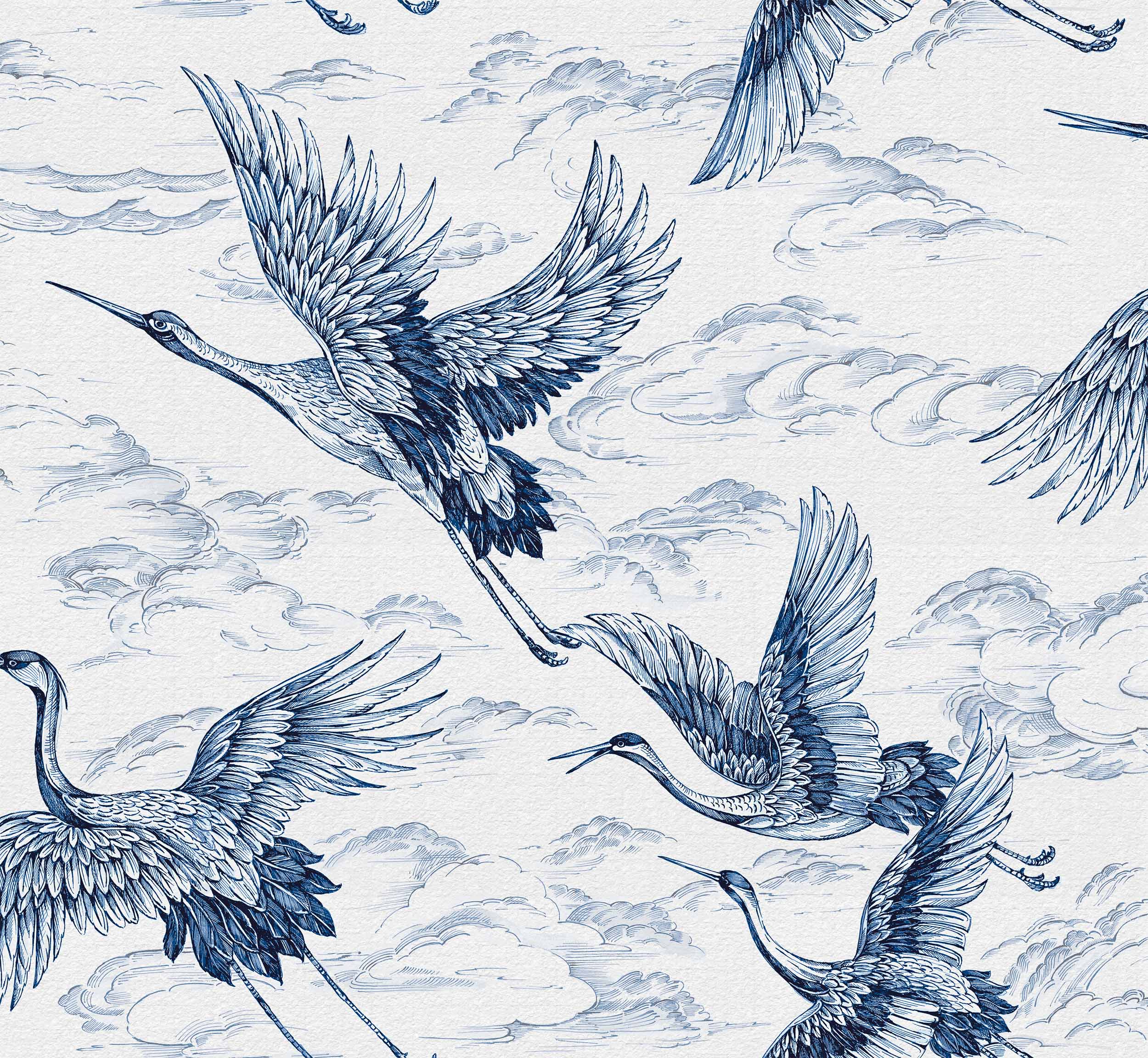 Imperial Ibis, Sapphire, Coordonne 5mp / rola